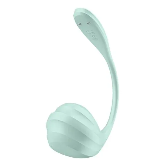 D-239489 SATISFYER PARTNER