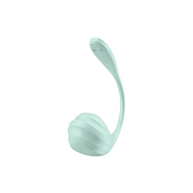D-239489 SATISFYER PARTNER