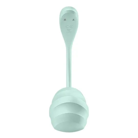 D-239489 SATISFYER PARTNER