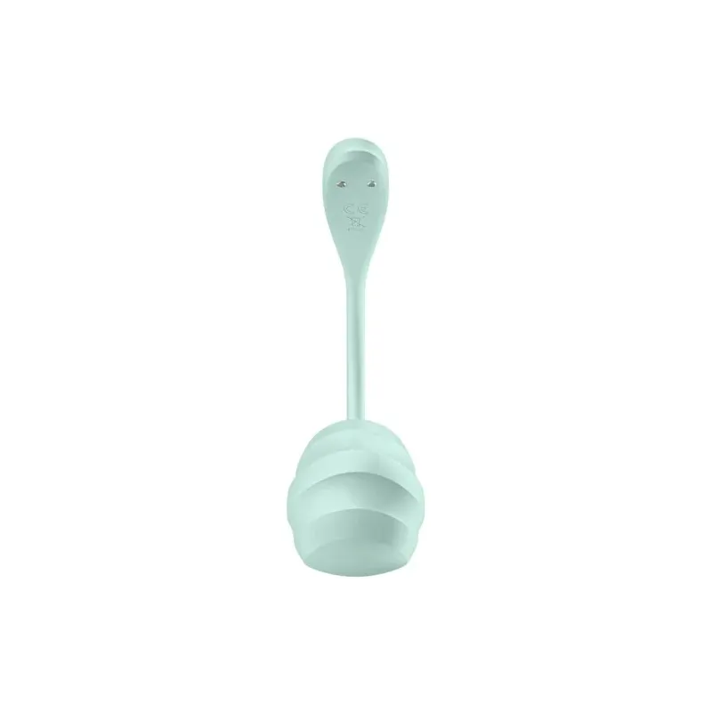 D-239489 SATISFYER PARTNER