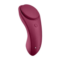 D-227298 SATISFYER CONNECT