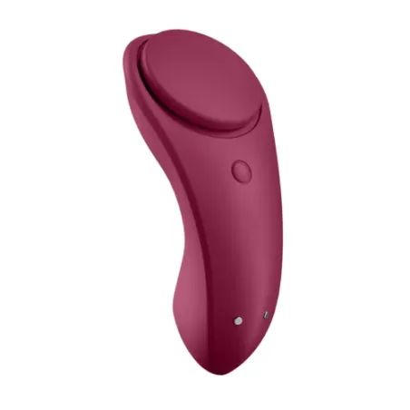 D-227298 SATISFYER CONNECT