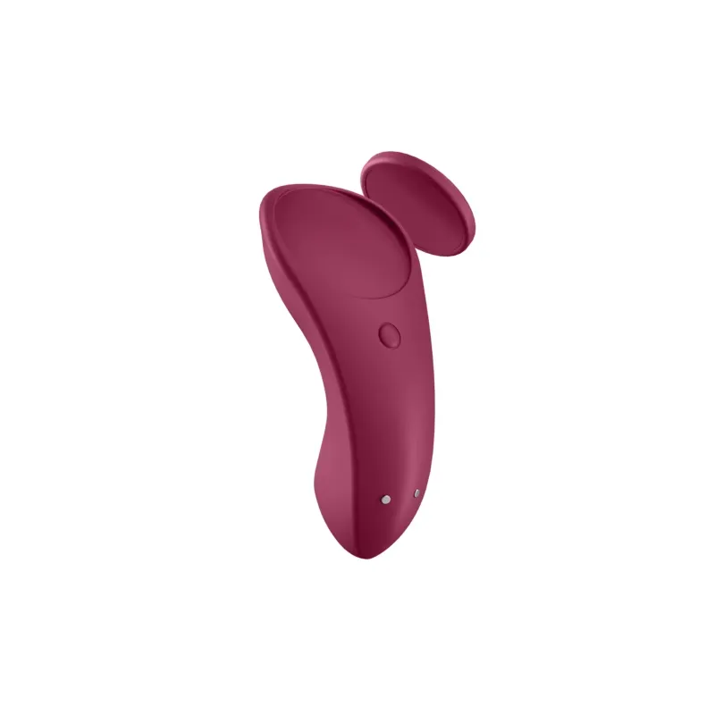 D-227298 SATISFYER CONNECT