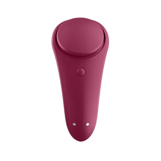 D-227298 SATISFYER CONNECT