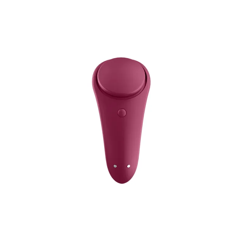 D-227298 SATISFYER CONNECT