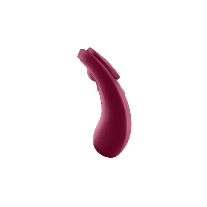 D-227298 SATISFYER CONNECT