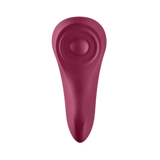 D-227298 SATISFYER CONNECT