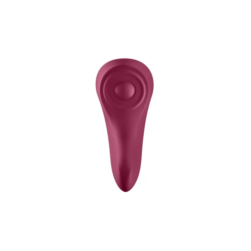 D-227298 SATISFYER CONNECT