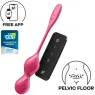 D-239837 SATISFYER BALLS