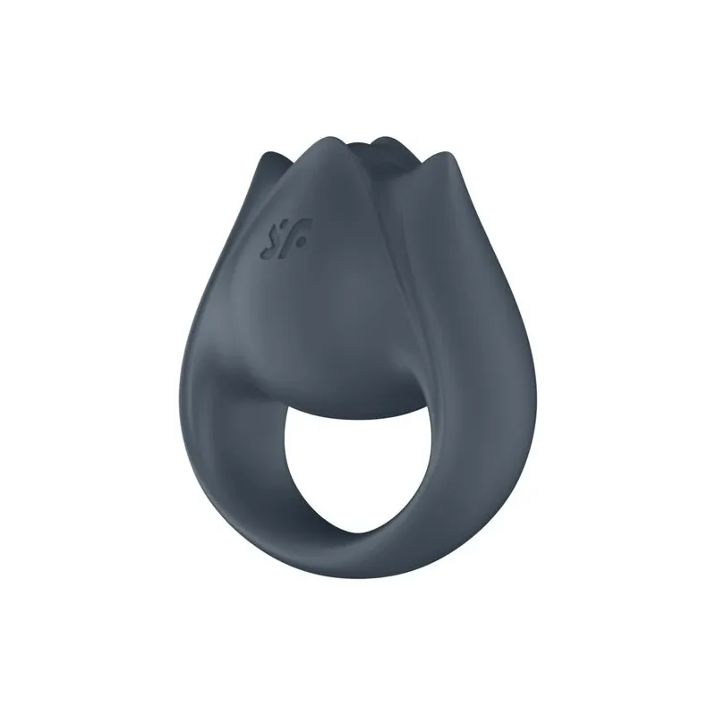 D-241670 SATISFYER PARTNER