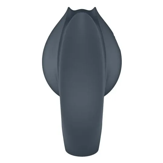 D-241670 SATISFYER PARTNER