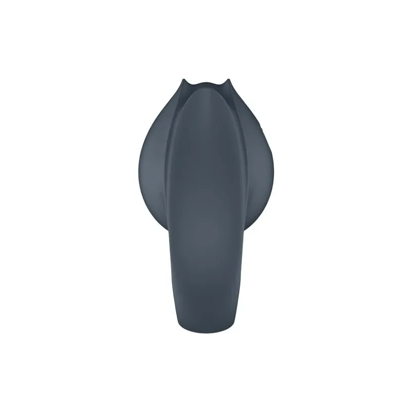D-241670 SATISFYER PARTNER