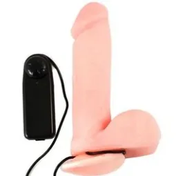 D-194030 BAILE VIBRATORS