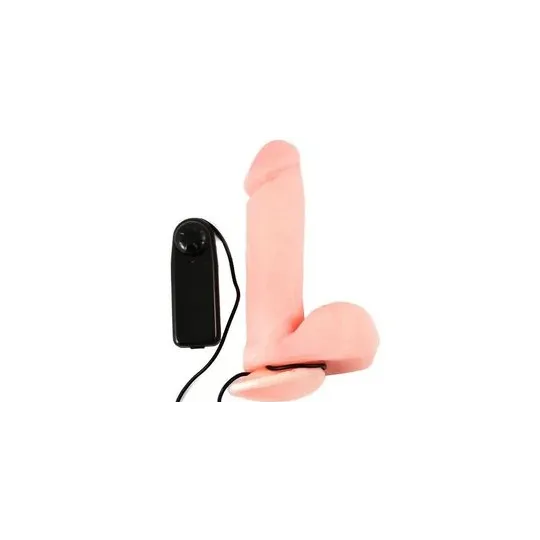 D-194030 BAILE VIBRATORS