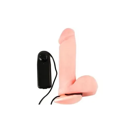 D-194030 BAILE VIBRATORS