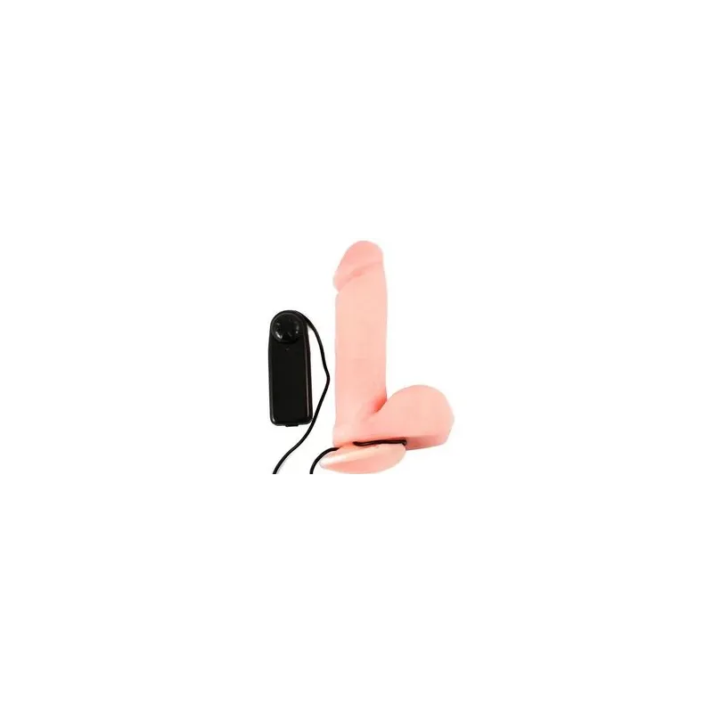 D-194030 BAILE VIBRATORS