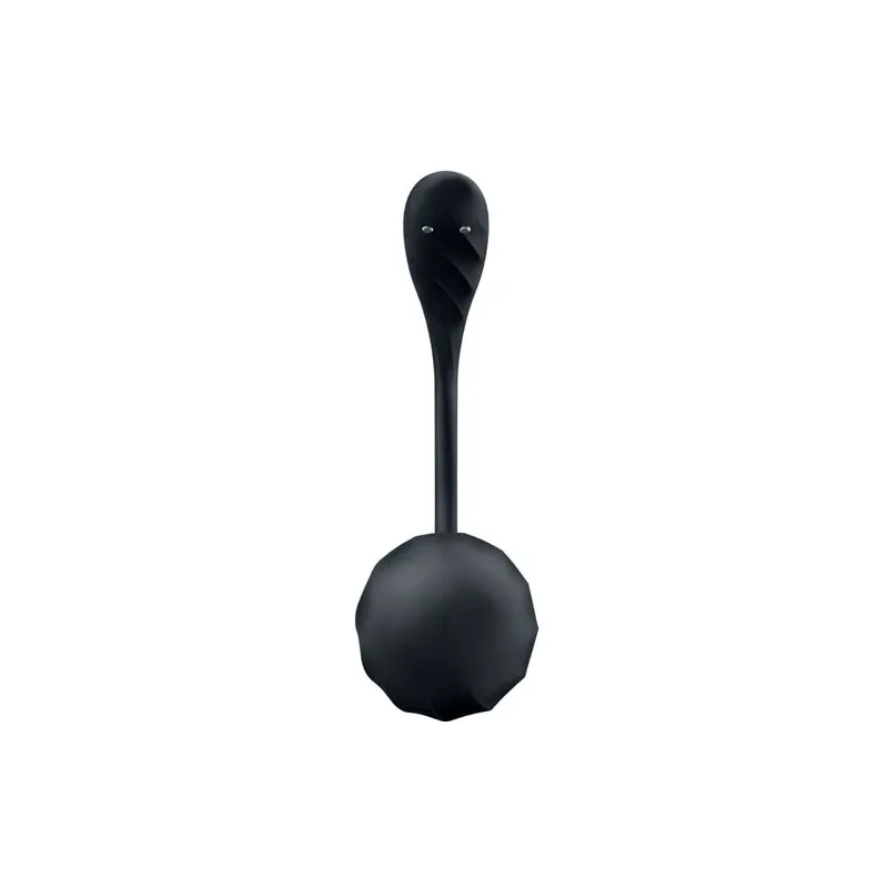 D-240552 SATISFYER PARTNER