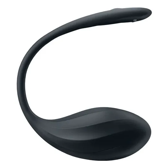 D-240552 SATISFYER PARTNER