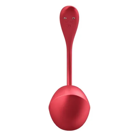 D-240551 SATISFYER PARTNER
