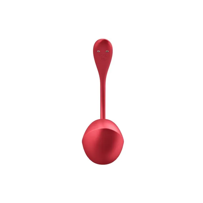 D-240551 SATISFYER PARTNER