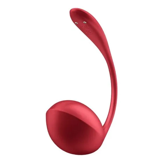 D-240551 SATISFYER PARTNER