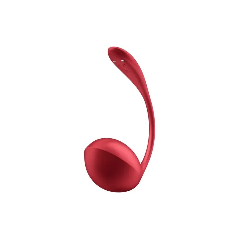 D-240551 SATISFYER PARTNER