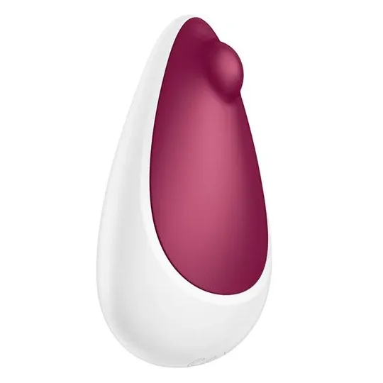 D-240554 SATISFYER VIBRATOR