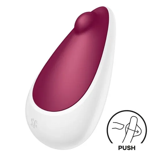 D-240554 SATISFYER VIBRATOR