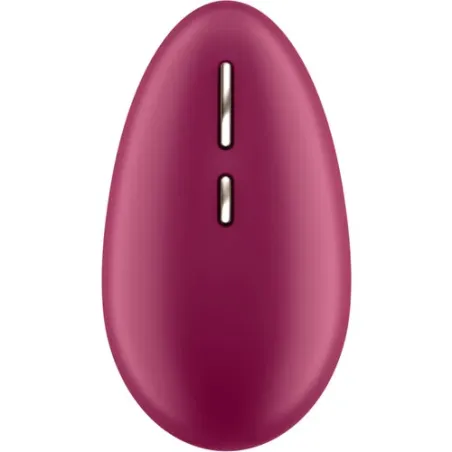 D-234863 SATISFYER VIBRATOR
