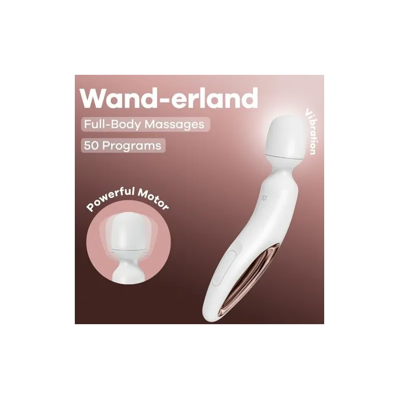 D-244013 SATISFYER WAND