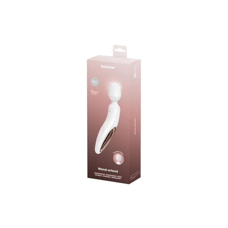 D-244013 SATISFYER WAND