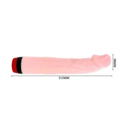 D-199969 BAILE VIBRATORS