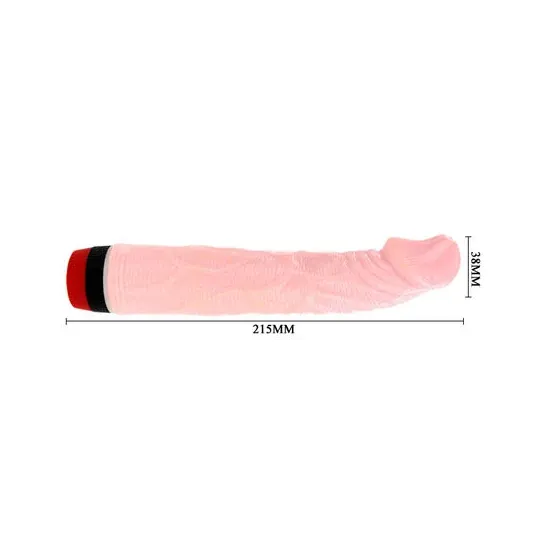 D-199969 BAILE VIBRATORS