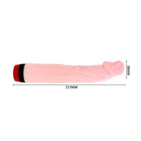 D-199969 BAILE VIBRATORS