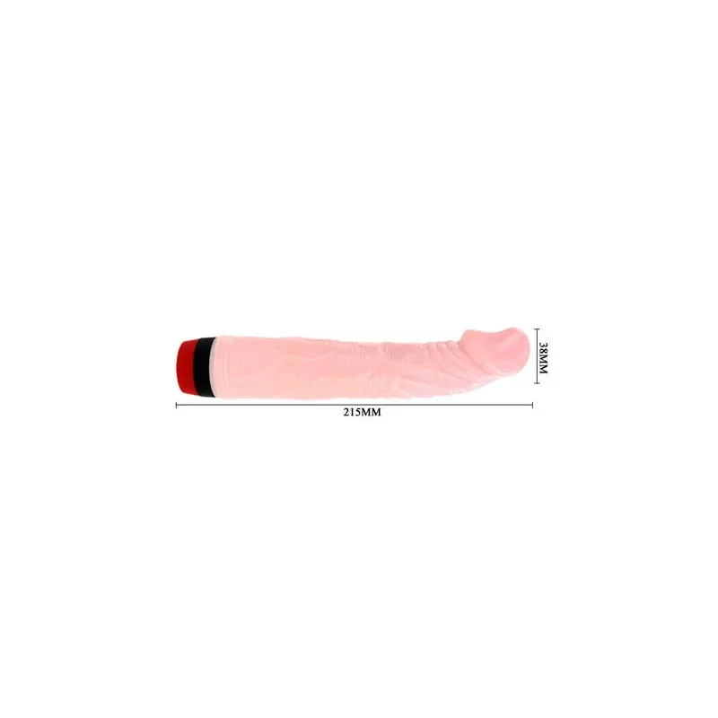 D-199969 BAILE VIBRATORS