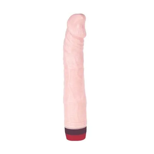 D-199969 BAILE VIBRATORS