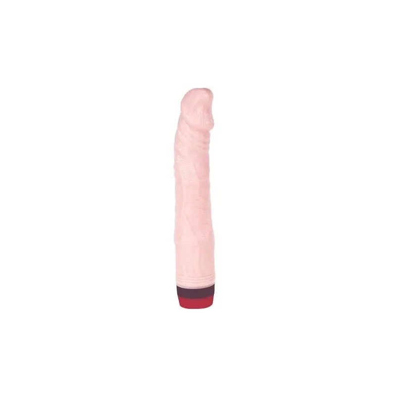 D-199969 BAILE VIBRATORS