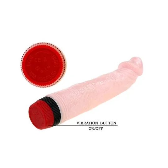 D-199969 BAILE VIBRATORS