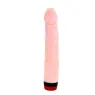D-199969 BAILE VIBRATORS