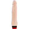 D-199972 BAILE VIBRATORS
