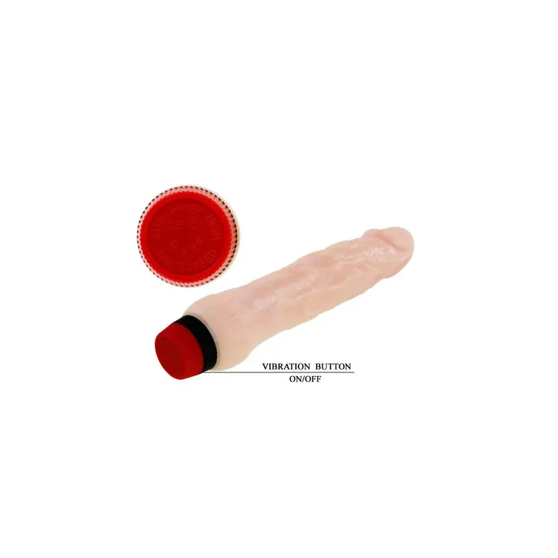 D-199972 BAILE VIBRATORS