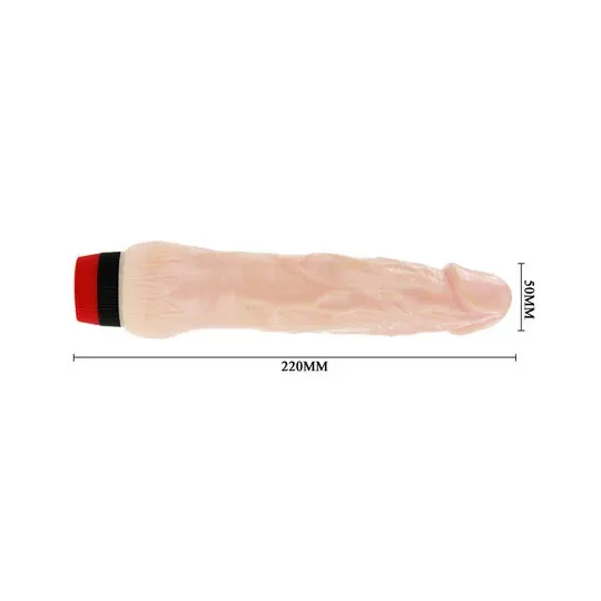 D-199972 BAILE VIBRATORS