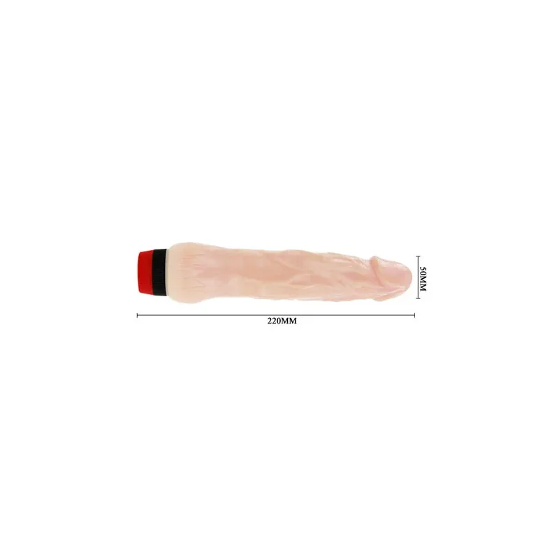 D-199972 BAILE VIBRATORS