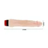 D-199972 BAILE VIBRATORS