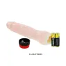 D-199972 BAILE VIBRATORS