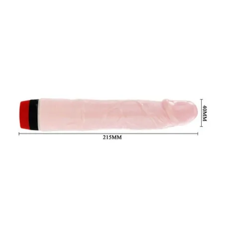 D-199973 BAILE VIBRATORS