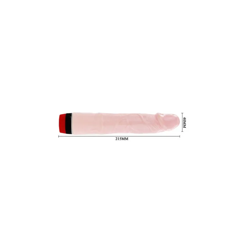 D-199973 BAILE VIBRATORS