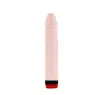 D-199973 BAILE VIBRATORS