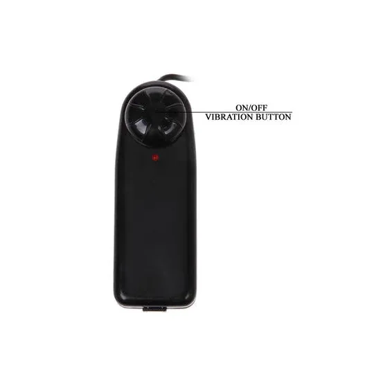 D46-149069NT BAILE VIBRATORS