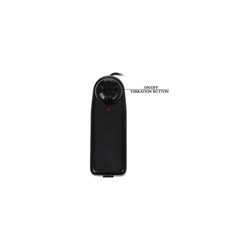 D46-149069NT BAILE VIBRATORS